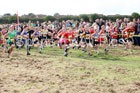 Boys under-11s Start Fitness North Eastern Harriers League, Wrekenton, Gateshead. Photo:  David T. Hewitson/Sports for All Pics